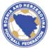 Bosnian Futsal