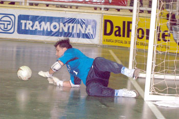 Franklin (Malwee / Jaragu�) (Photo courtesy:Jo�o Pires)