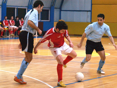 Platon - Aeas Pallinis (Photo courtesy: Costas Chryssafis)