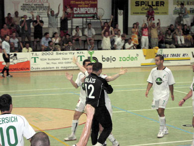 The impressive Hungarian goalkeeper Balazs celebrating with his team mates (Photo courtesy: Colorspectrum Aramis)