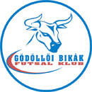 First ever title for the rookie Godolloi Futsal Klub!