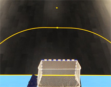 The Hungary 2010 pitch will look like that (Photo courtesy: UEFA)