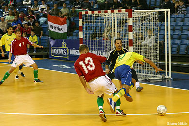 Hungary vs Brazil - Fonix Cup 2007