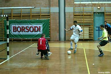 Hungarian Cup Final (Photo courtesy: Miklos Biszkup)