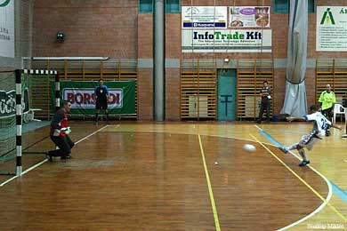 Hungarian Cup Final (Photo courtesy: Miklos Biszkup)