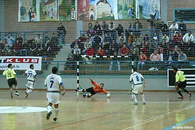 Hungarian Cup Final (Photo courtesy: Miklos Biszkup)
