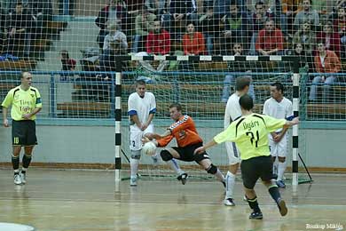 Hungarian Cup Final (Photo courtesy: Miklos Biszkup)