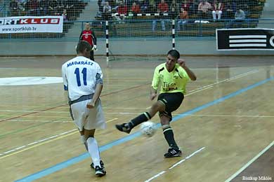 Hungarian Cup Final (Photo courtesy: Miklos Biszkup)