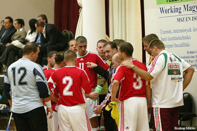Hungary vs Finland 4-2 (Photo courtesy: Miklos Biszkup)