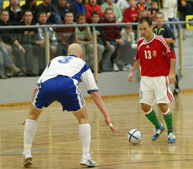 Hungary vs Finland 4-2 (Photo courtesy: Miklos Biszkup)