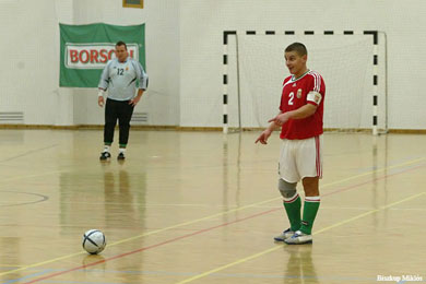 Hungary vs Finland 4-2 (Photo courtesy: Miklos Biszkup)