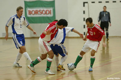 Hungary vs Finland 4-2 (Photo courtesy: Miklos Biszkup)