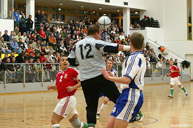Hungary vs Finland 4-2 (Photo courtesy: Miklos Biszkup)