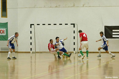 Hungary vs Finland 4-2 (Photo courtesy: Miklos Biszkup)