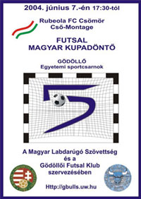 Hungarian Cup final in Godollo