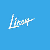 Christmas Stars 2008