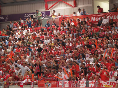 Have a look at the aguias torcida! (Photo courtesy: SL Benfica)