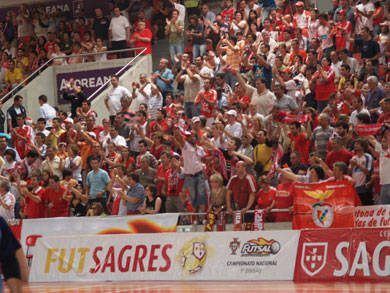 Red and white spectacle... (Photo courtesy: SL Benfica)