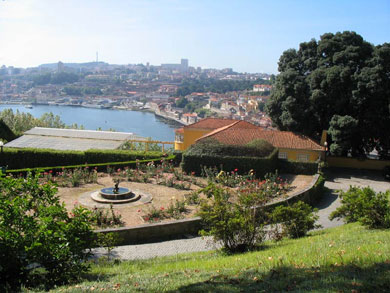A city view from the botanical gardens in Porto (Photo courtesy: Radek Klier - Futsalmagazine)