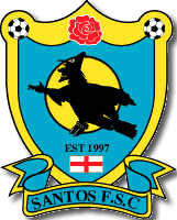 Santos logo (Photo courtesy: http://www.santosfutsal.co.uk)