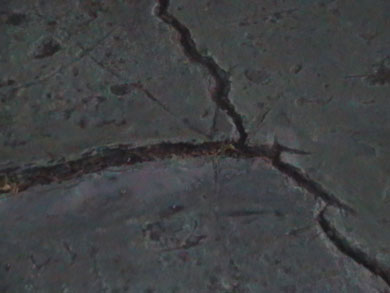 Pitch quality? (Photo courtesy: Rich Mayell)