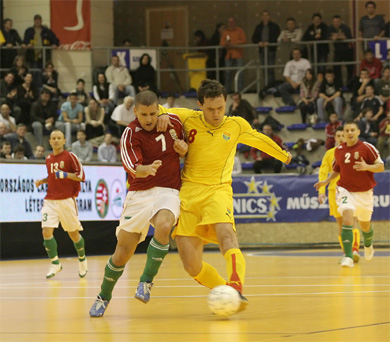 Hungary vs Macedonia 3-0 (Photo courtesy: Miklos Biszkup)