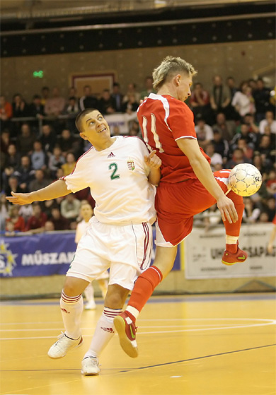 Hungary vs Poland 6-2 (Photo courtesy: Miklos Biszkup)