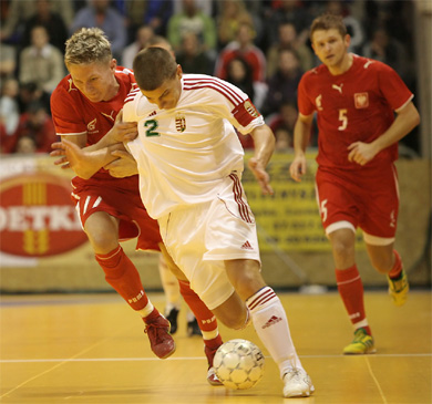 Hungary vs Poland 6-2 (Photo courtesy: Miklos Biszkup)
