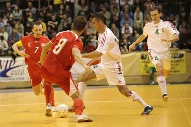 Hungary vs Poland 6-2 (Photo courtesy: Miklos Biszkup)