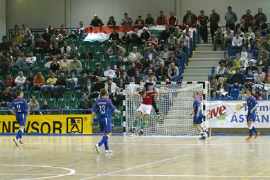 Russia vs Hungary (Photo courtesy: Miklos Biszkup)